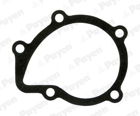 PAYEN Gasket, water pump Article number: KA611 cheaply