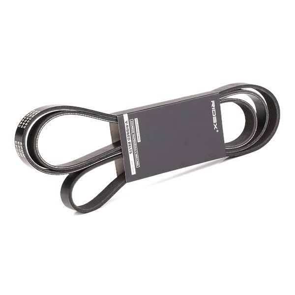 RIDEX Serpentine belt Article number: 305P0095 cheaply