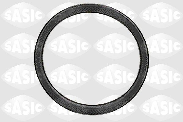 SASIC Hardyskive Varenummer: 6092032 billige
