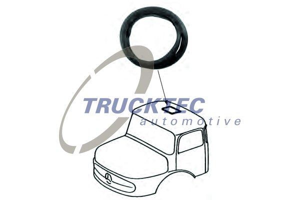 TRUCKTEC AUTOMOTIVE Pynte- / beskyttelsesliste, tag Varenummer: 01.55.001 billige