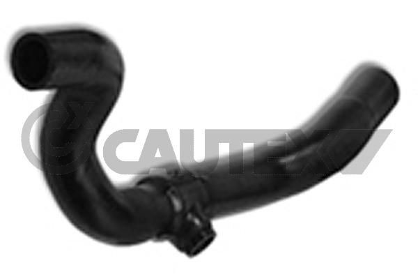 CAUTEX Radiator hose Article number: 026643 cheaply