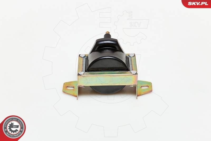 ESEN SKV Ignition coil Article number: 03SKV119 cheaply