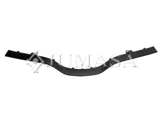 JUMASA 21354033 Ehis- / kaitseliist, Grill KANGOO 1.5 dCi 110 (FW0C, FW0H) 109 HP Diisel