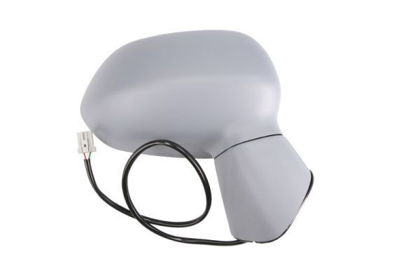 BLIC Wing mirror Article number: 5402-04-1125525 cheaply