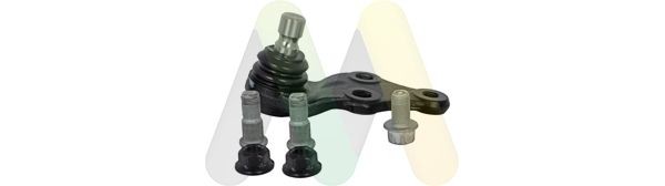 MOTAQUIP Ball Joint Article number: LVSJ1187 cheaply