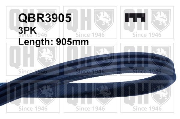 QUINTON HAZELL Serpentine belt Article number: QBR3905 cheaply