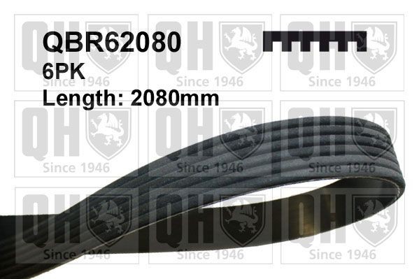 QUINTON HAZELL Serpentine belt Article number: QBR62080 cheaply