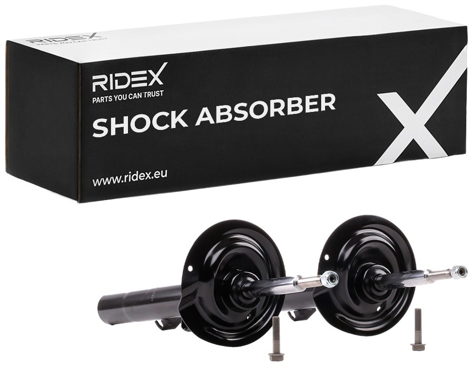 RIDEX Ammortizzatore Numero articolo: 854S2079 poco costoso