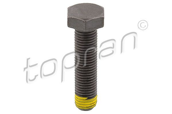 TOPRAN Flywheel Bolt Article number: 502 756 cheaply