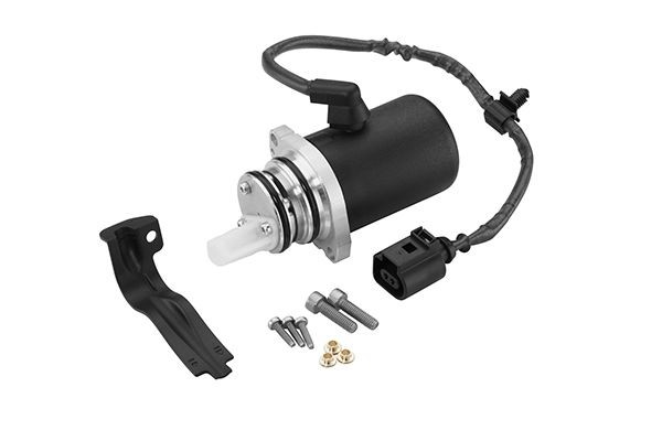 BorgWarner DS118622 Pump, all-wheel-drive coupling MULTIVAN 2.5 TDI 4motion 130 PS Diesel 2015