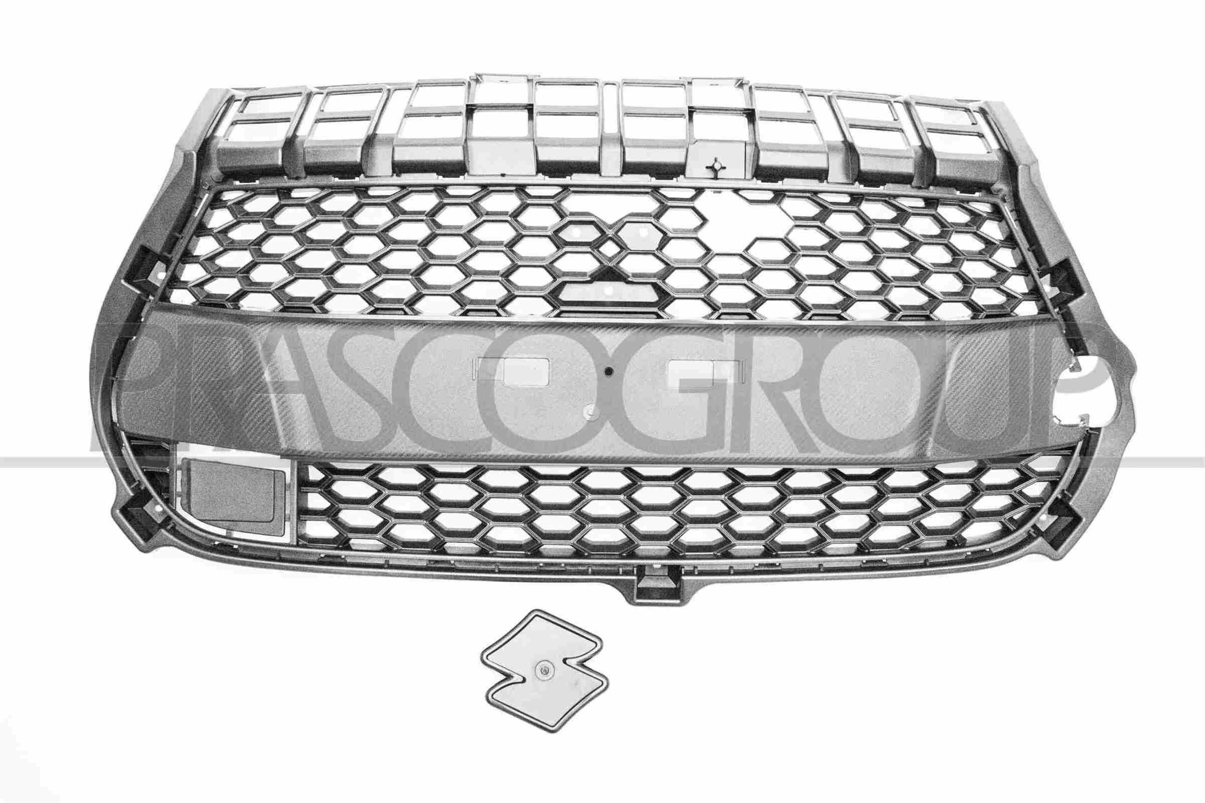 PRASCO Radiator Grille Article number: SZ2022011 cheaply