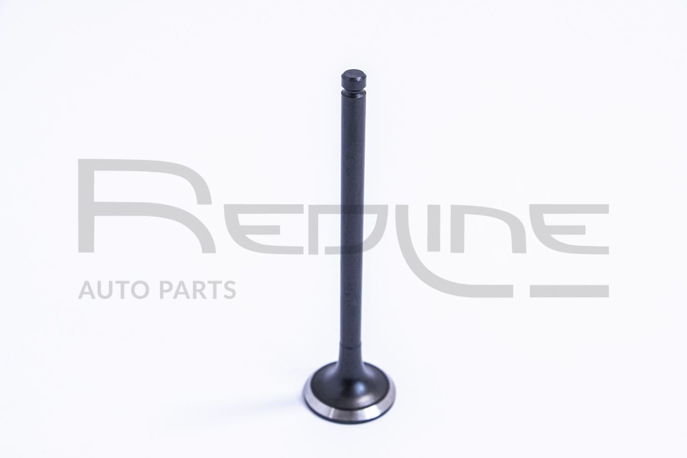 RED-LINE Exhaust valve Article number: 15NI031 cheaply