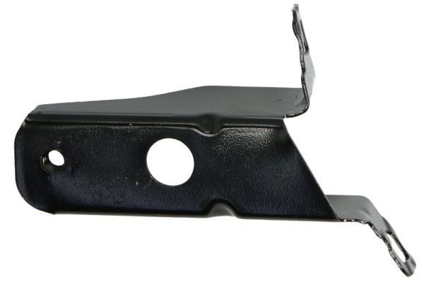 BLIC Holder, mudguard Article number: 7802-03-0063382P cheaply