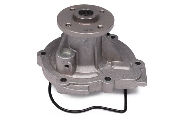 HEPU Water pump Article number: P7421 cheaply