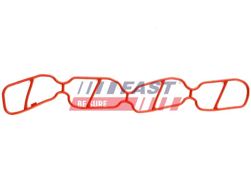 FAST Inlet manifold gasket Article number: FT49439 cheaply