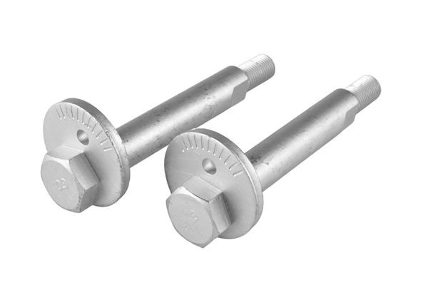 TEDGUM TED16610 Camber bolt PAJERO / SHOGUN 3.5 V6 GDI 203 PS Petrol 2006