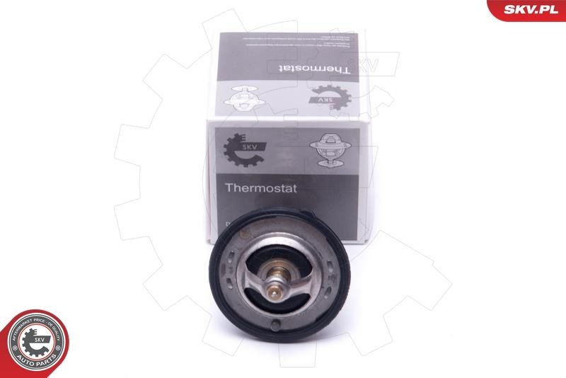 ESEN SKV Thermostat Article number: 20SKV131 cheaply