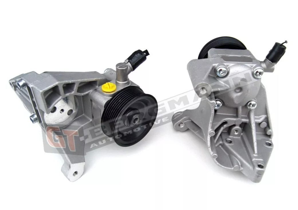 GT-BERGMANN Power steering pump Article number: GT32-001 cheaply