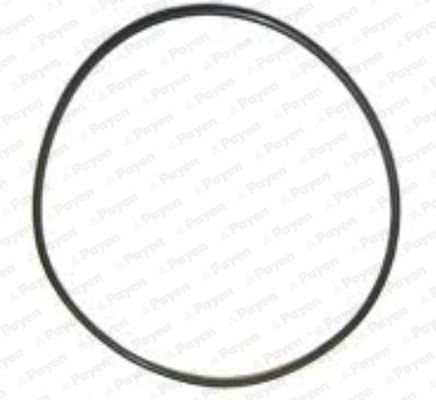 PAYEN Inlet manifold gasket Article number: JD6183 cheaply