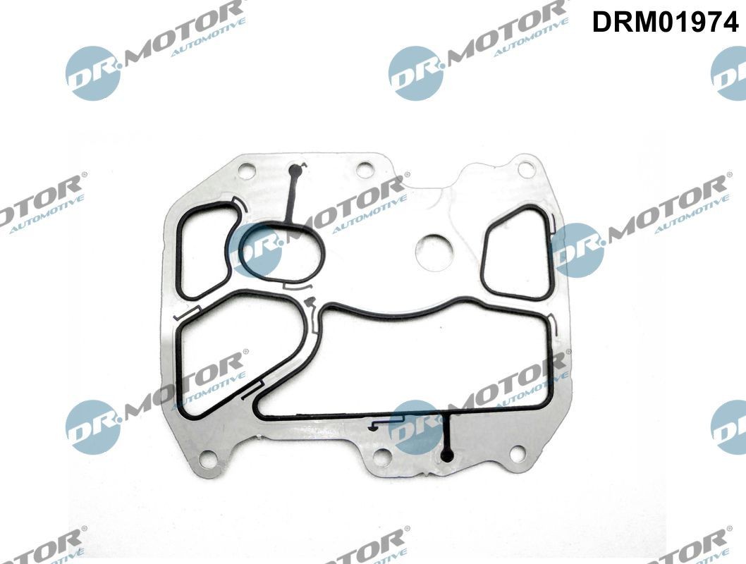 DR.MOTOR AUTOMOTIVE Oil cooler gasket Article number: DRM01974 cheaply
