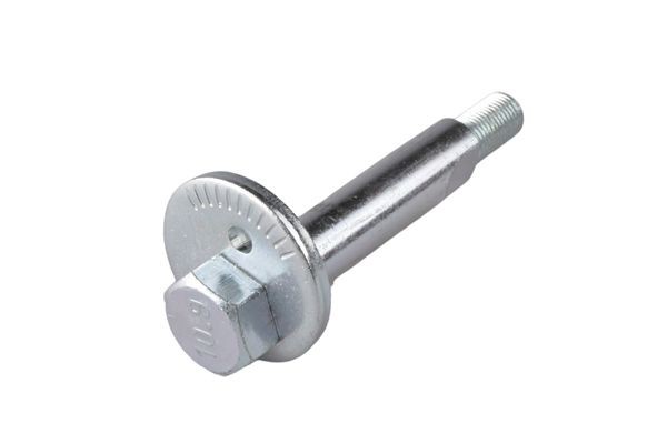 TEDGUM TED51310 Camber bolt PAJERO / SHOGUN 3.5 V6 GDI 203 PS Petrol 2006