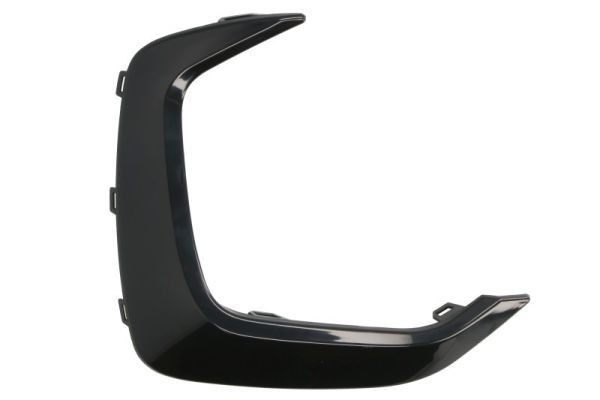 BLIC Bumper moulding Article number: 6502-07-0071921P cheaply