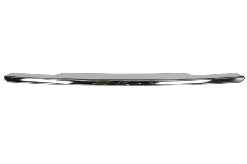 BLIC Bumper moulding Article number: 5513-00-3217926P cheaply