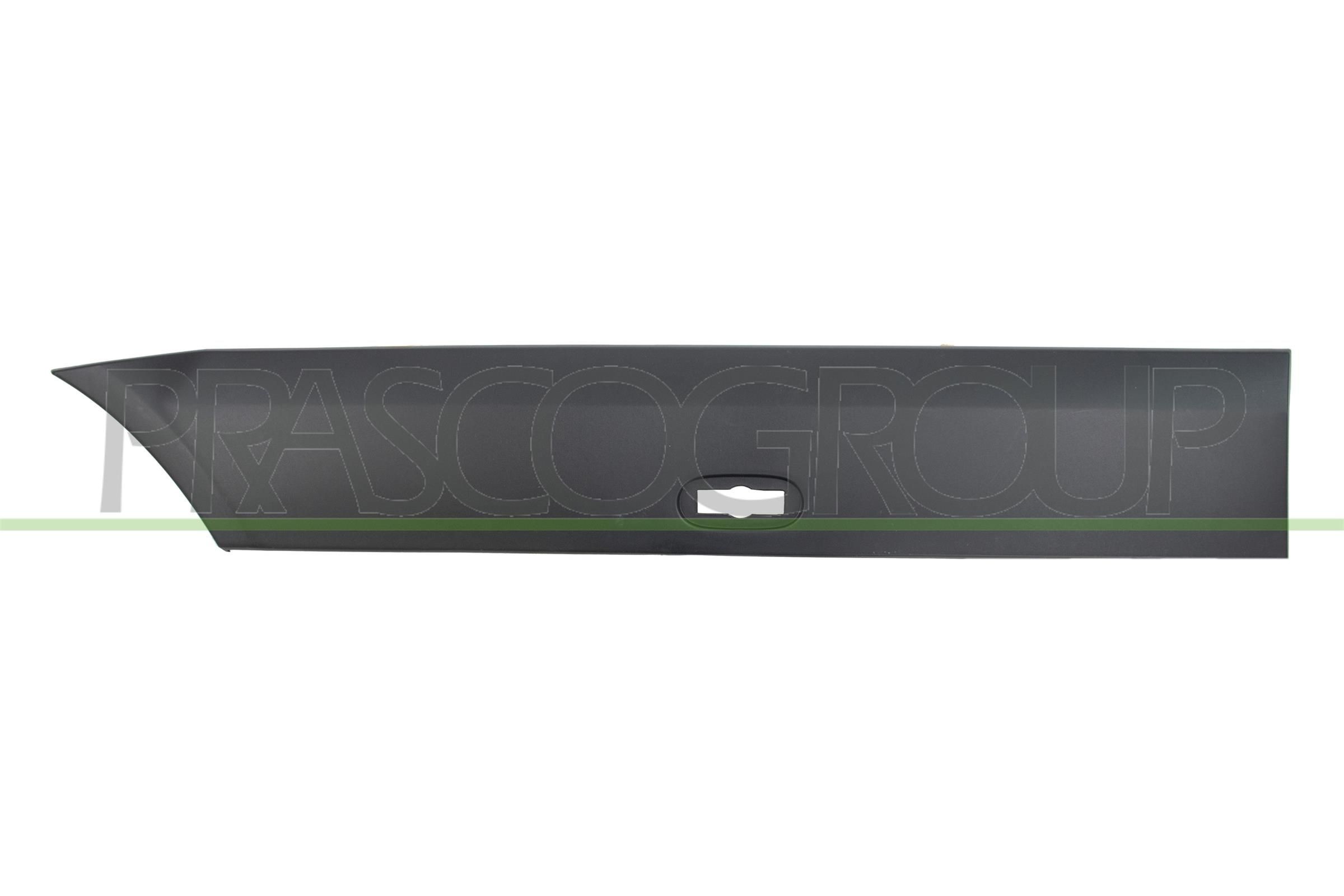 PRASCO Trim / Protective Strip, mudguard Article number: ME9191453 cheaply