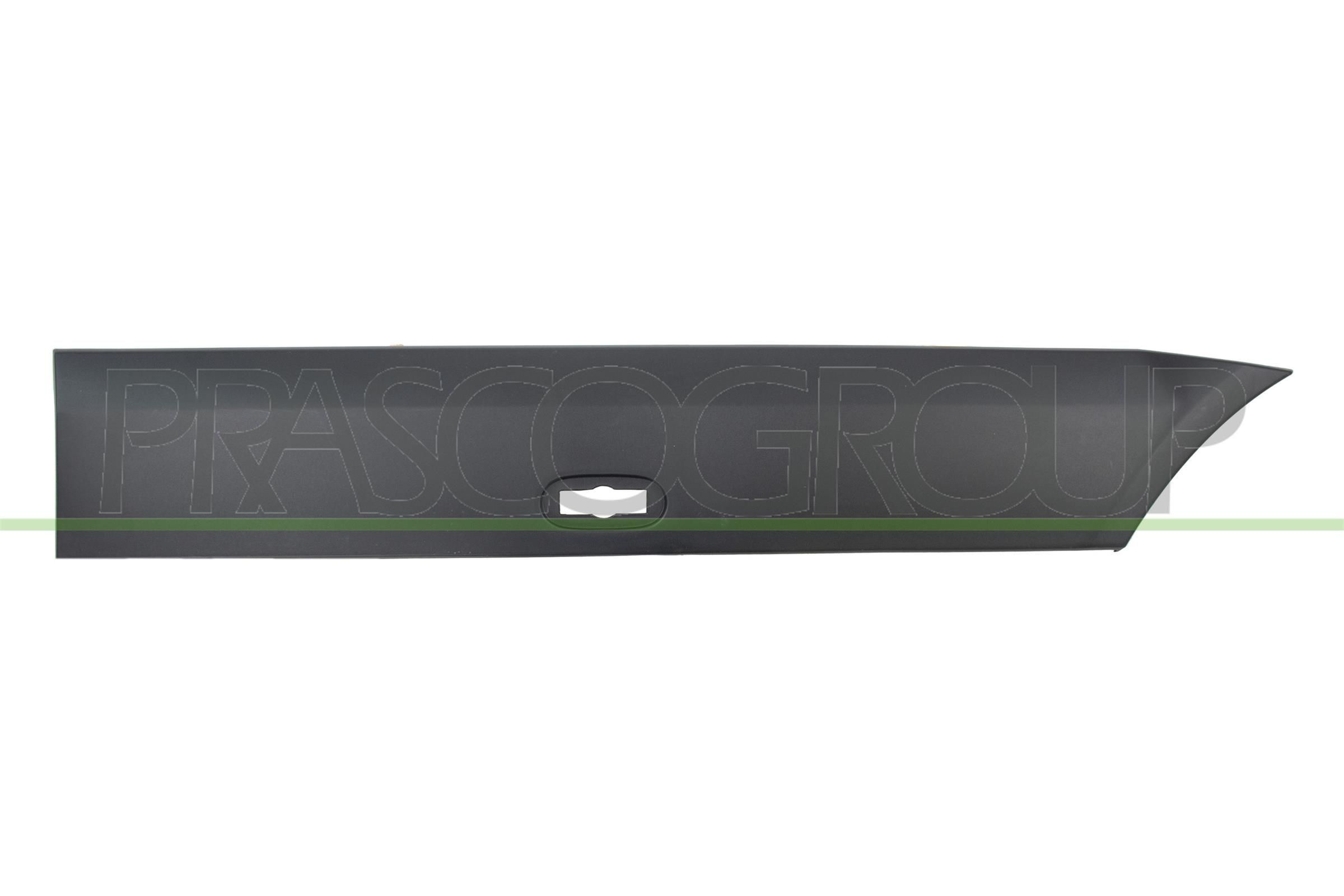 PRASCO Trim / Protective Strip, mudguard Article number: ME9191454 cheaply