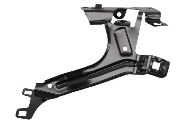 BLIC Holder, mudguard Article number: 7802-03-0078384P cheaply