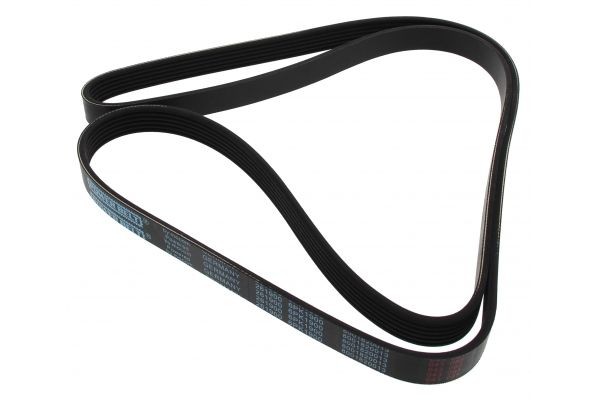MAPCO Serpentine belt Article number: 261900 cheaply