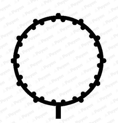 PAYEN Inlet manifold gasket Article number: JD5838 cheaply