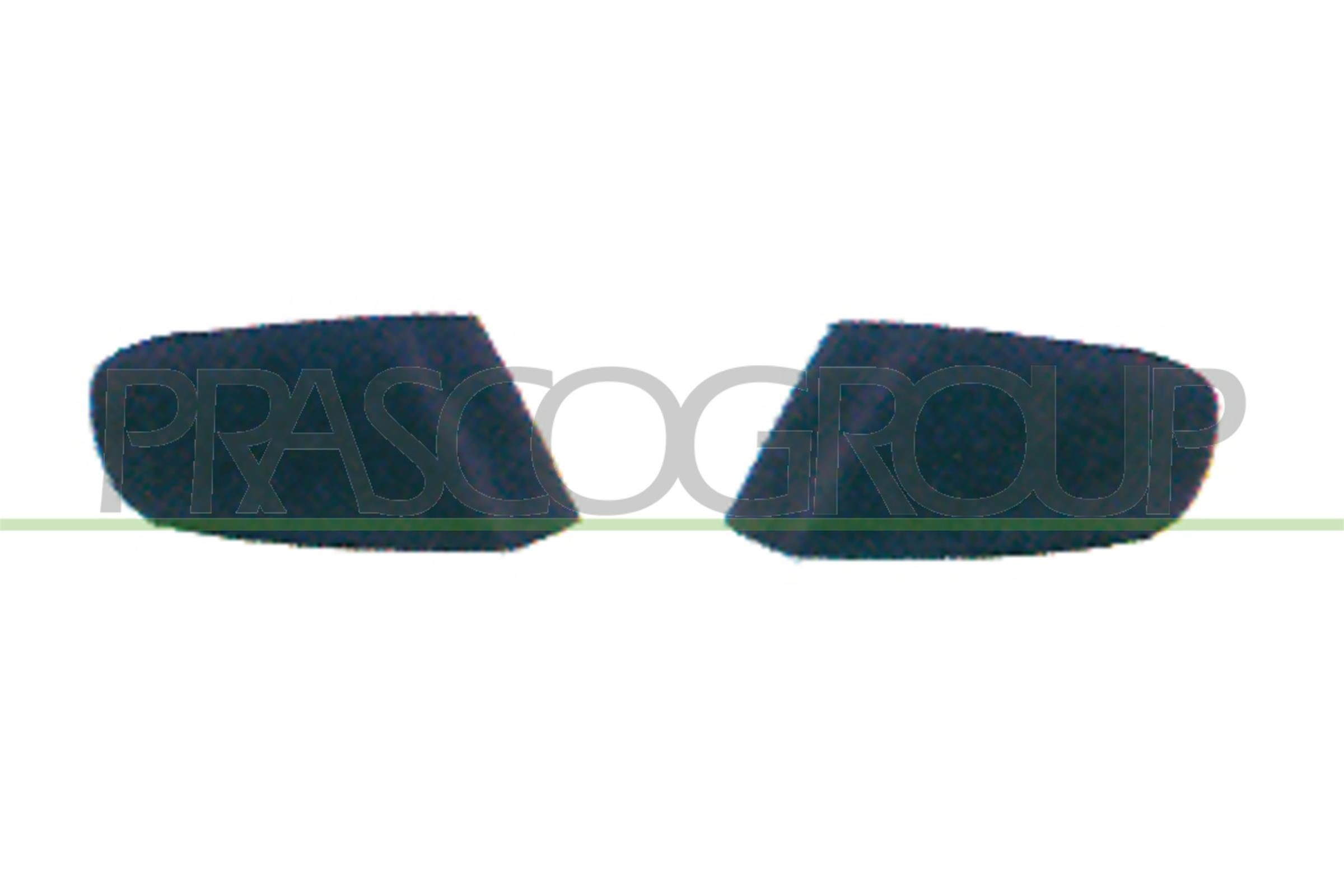 PRASCO PG4221248 Bumper moulding 307 1.6 BioFlex 109 PS Petrol/Ethanol 2009