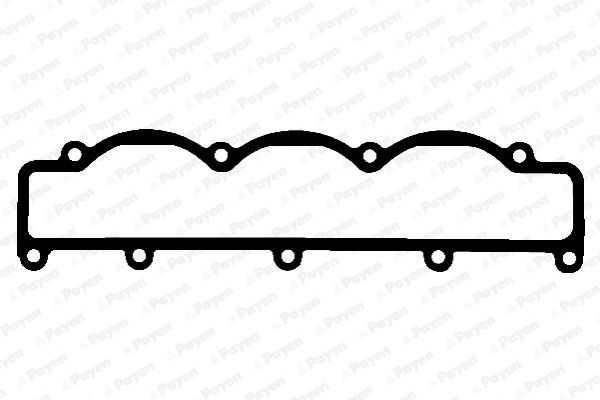 PAYEN Inlet manifold gasket Article number: JD5338 cheaply