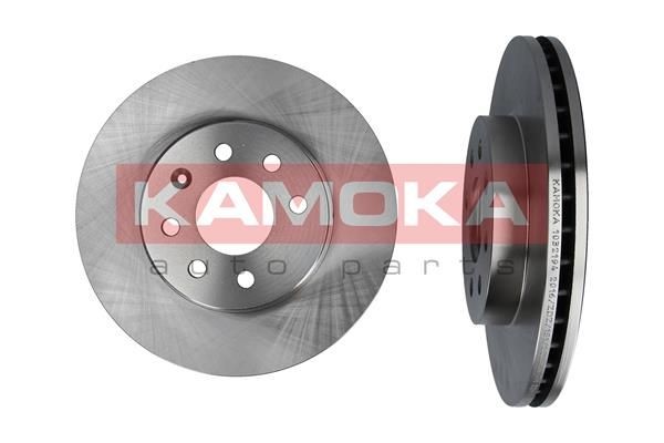 KAMOKA Brake disc Article number: 1032194 cheaply