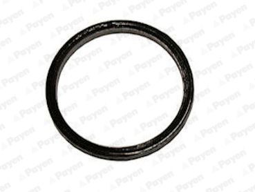 PAYEN Exhaust pipe gasket Article number: JE017 cheaply