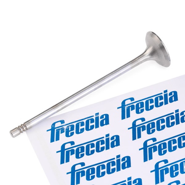 FRECCIA Exhaust valve Article number: R6664/RCR cheaply