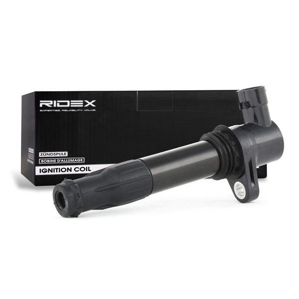 RIDEX Süütepool Artikli number: 689C0260 soodsalt