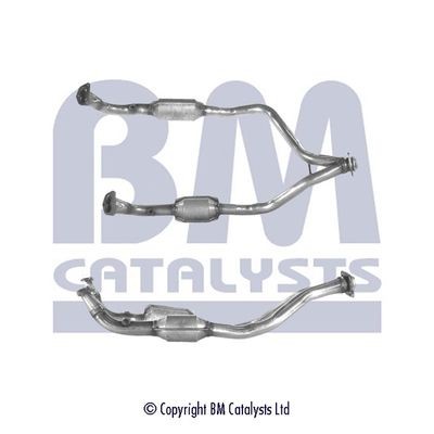 BM CATALYSTS Catalytic converter Article number: BM90110 cheaply