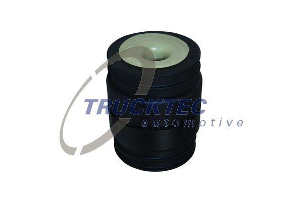 TRUCKTEC AUTOMOTIVE Synchronizer Body, manual transmission Article number: 01.24.437 cheaply