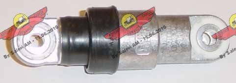 AUTOKIT 03.787 Vibracijos slopintuvas, V formos rumbuotas diržas 5 Serija M5 400 AG benzinas 2003