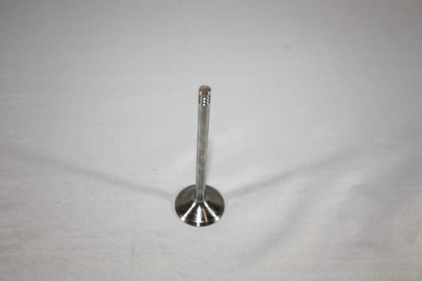 AUTOMEGA Inlet valve Article number: 130106910 cheaply
