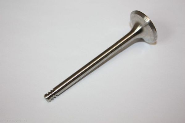 AUTOMEGA Exhaust valve Article number: 130107610 cheaply