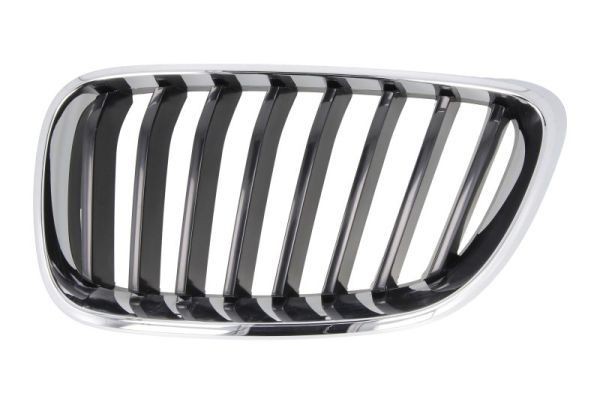 BLIC Radiator Grille Article number: 6502-07-0069991P cheaply