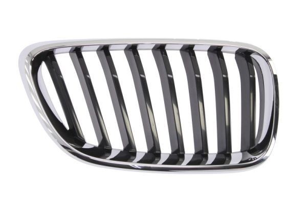 BLIC Radiator Grille Article number: 6502-07-0069992P cheaply