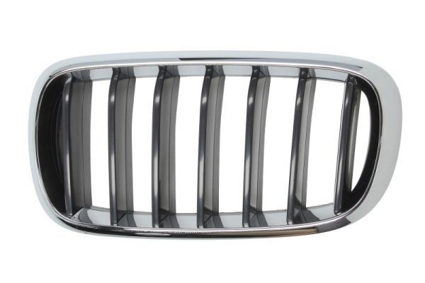 BLIC Radiator Grille Article number: 6502-07-00969911P cheaply