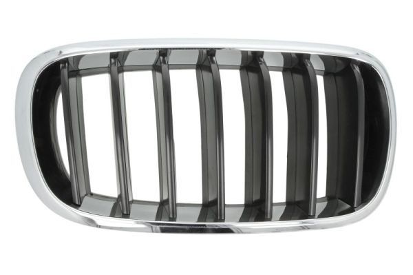 BLIC Radiator Grille Article number: 6502-07-00969922P cheaply