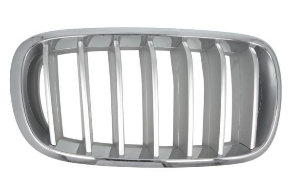 BLIC Radiator Grille Article number: 6502-07-00969966P cheaply