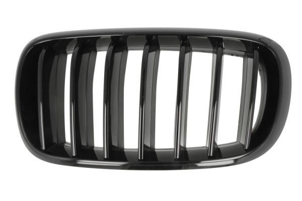 BLIC Radiator Grille Article number: 6502-07-00969977P cheaply