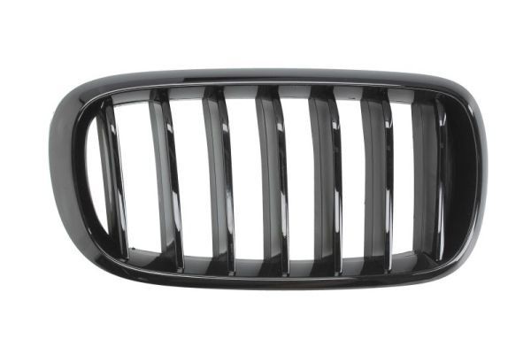 BLIC Radiator Grille Article number: 6502-07-00969988P cheaply